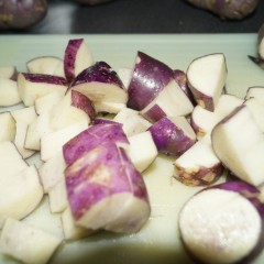 Harvest of Bute Heritage Potatoes