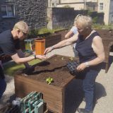 Chapel Hill accessible raised bed garden launched